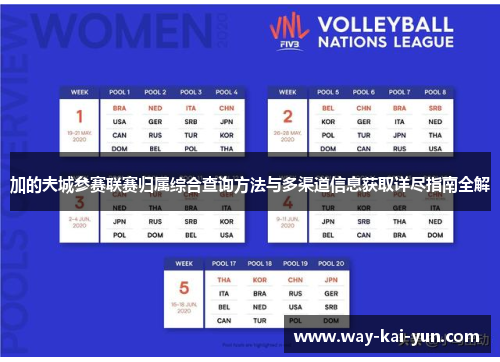 加的夫城参赛联赛归属综合查询方法与多渠道信息获取详尽指南全解