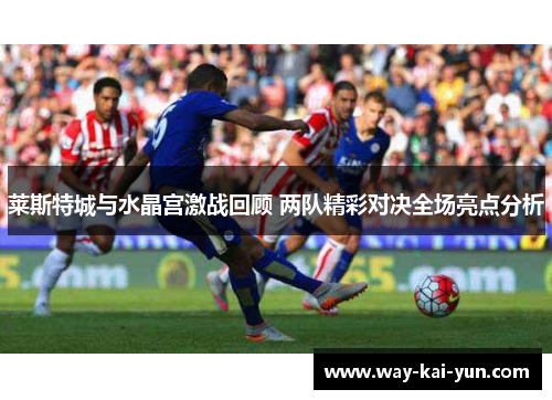 莱斯特城与水晶宫激战回顾 两队精彩对决全场亮点分析