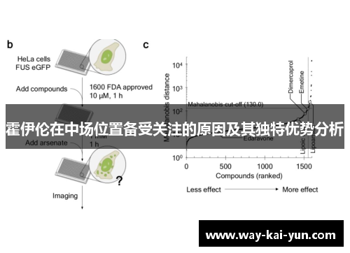 霍伊伦在中场位置备受关注的原因及其独特优势分析 霍伊伦在中场位置备受关注的原因及其独特优势分析