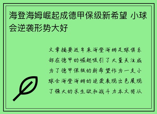 海登海姆崛起成德甲保级新希望 小球会逆袭形势大好