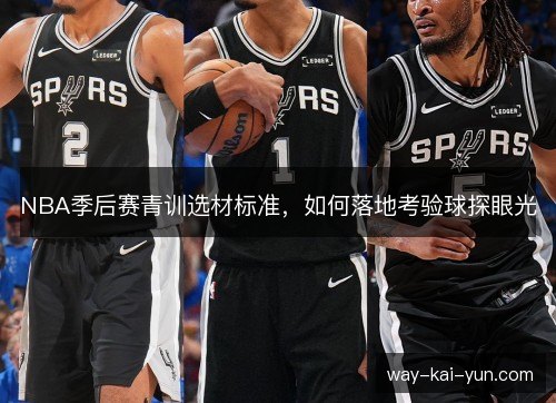 NBA季后赛青训选材标准,如何落地考验球探眼光 NBA季后赛青训选材标准,如何落地考验球探眼光